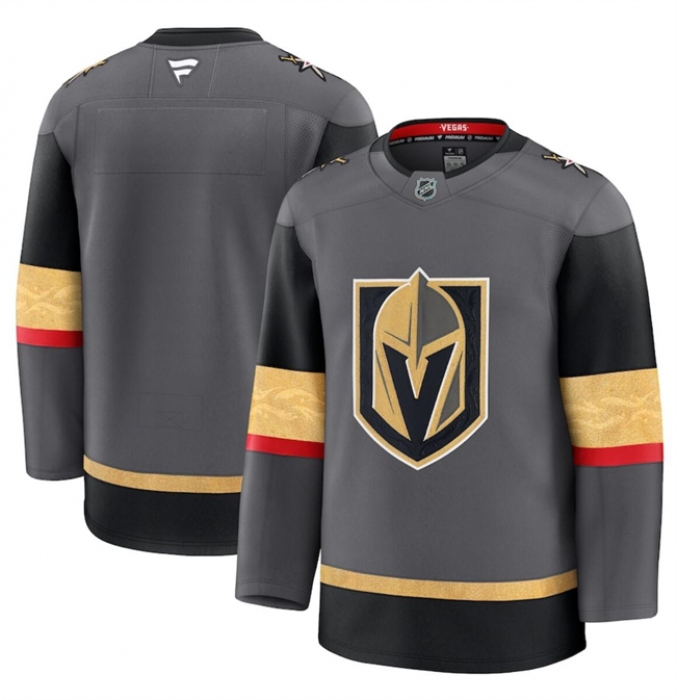 Men's Vegas Golden Knights Blank Grey 2024-25 Alternate Stitched Hockey Jersey