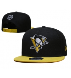 NHL Pittsburgh Penguins Hat-001